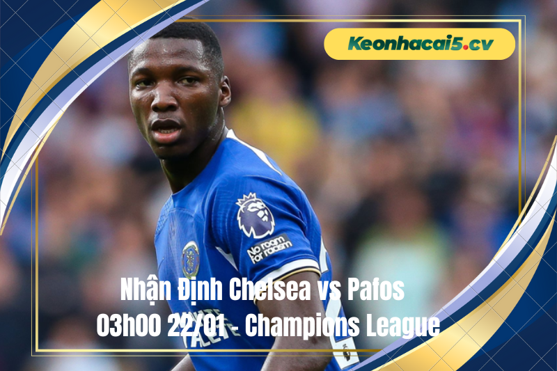 Đội hình dự kiến trước trận Chelsea vs Pafos Đội hình dự kiến trước trận Chelsea vs Pafos
